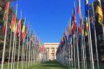 Entrada a la sede del Consejo de Derechos Humanos de Naciones Unidas, en la que aparecen las banderas de los países miembro.
