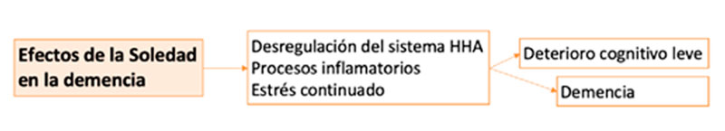 Figura 1. Efectos de la soledad en la demencia.