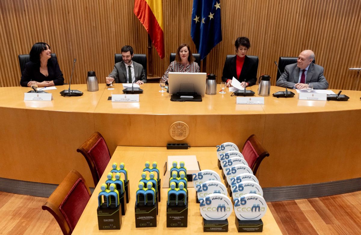 Pide la creación de un Estatuto de las Personas Mayores Mesa del acto de CEOMA en el Congraso de los Diputados