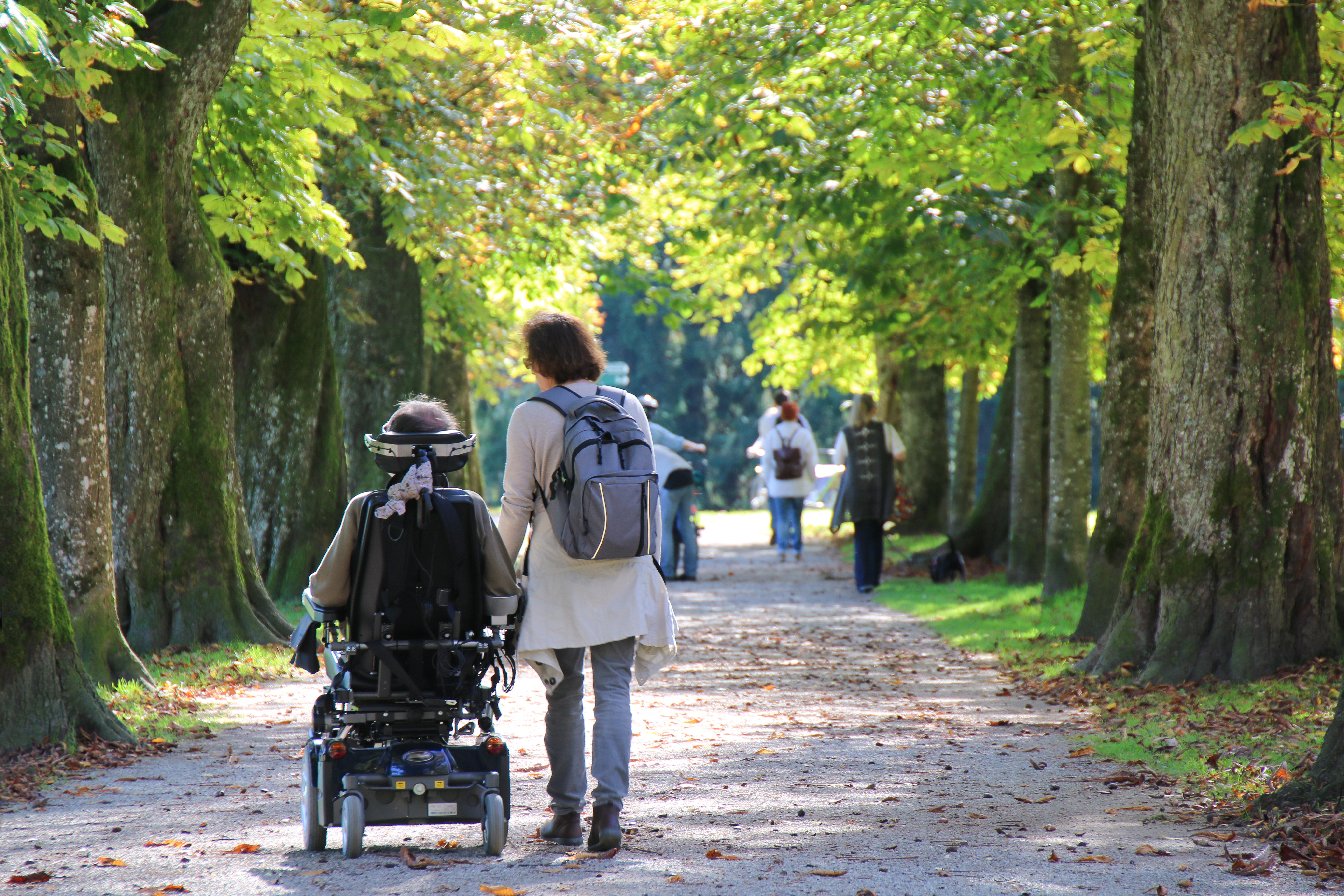 Imagen de una mujer de espaldas andando al lado de una persona que va en silla de ruedas