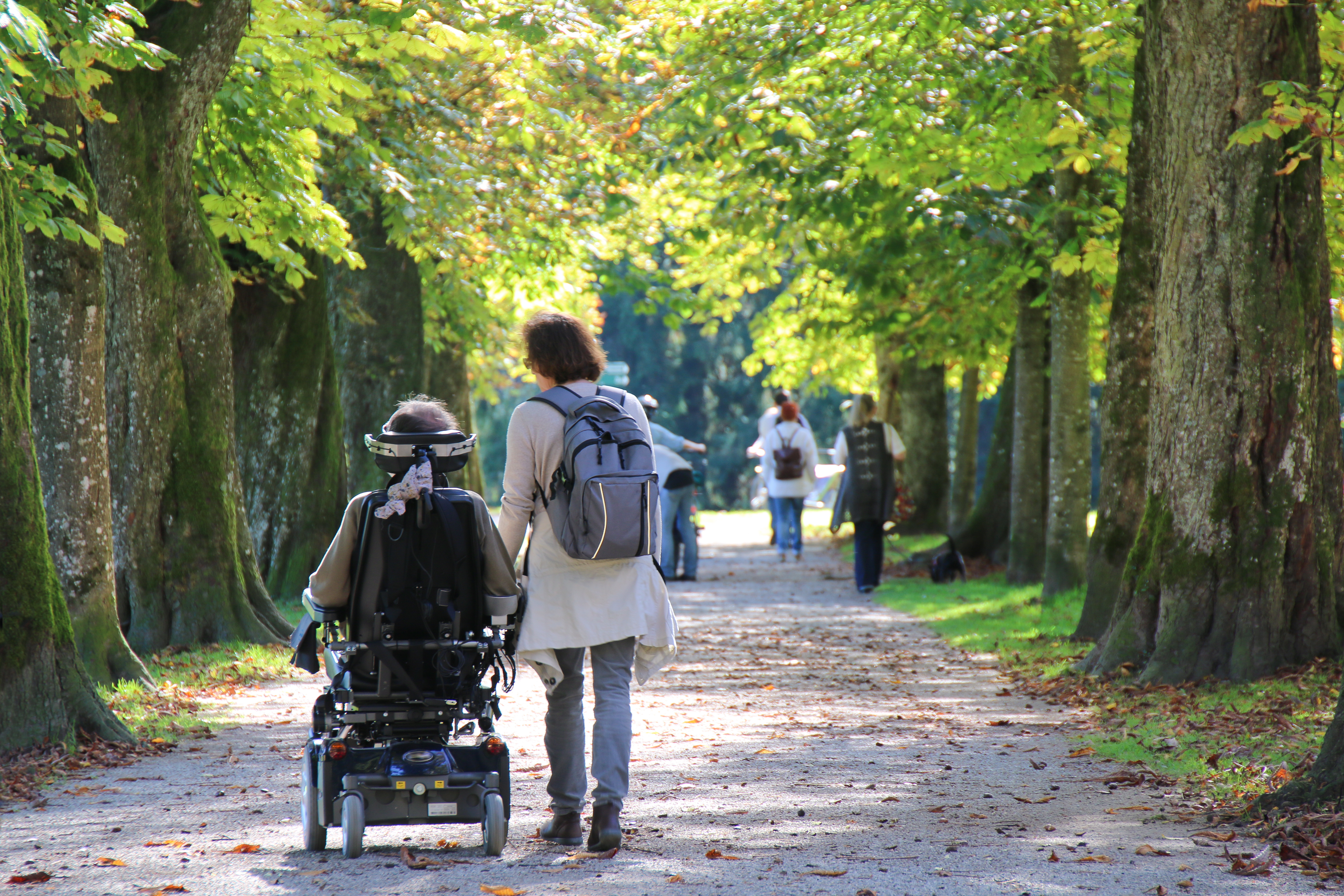 El número de personas con discapacidad mayores de 65 años ha crecido en 400.000 personas Imagen de una mujer de espaldas andando al lado de una persona que va en silla de ruedas