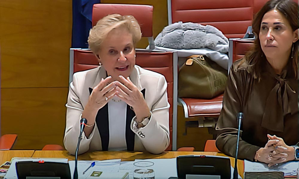 Carmen Quintanilla durante su comparecencia en el Senado