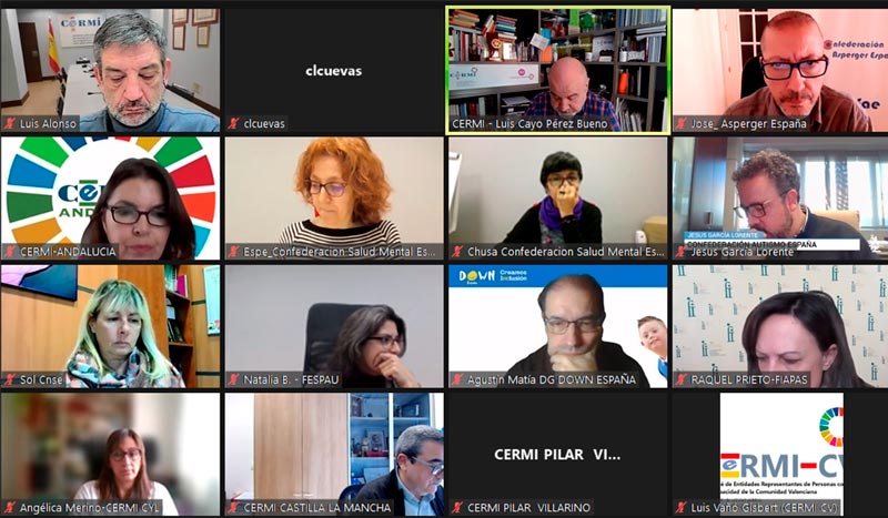 Lo ha hecho durante una reunión de la Red de Gerentes de Organizaciones del CERMI Un isntante de la reunión telemática de la Red de Gerentes de Organizaciones del CERMI