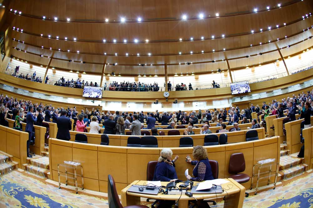 Las organizaciones del movimiento social de la discapacidad celebraron la aprobación de la reforma constitucional desde la tribuna del Senado.