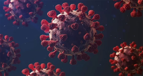 La COVID-19 grave puede causar problemas cognitivos y de salud mental duraderos Imagen de microscopio de un virus