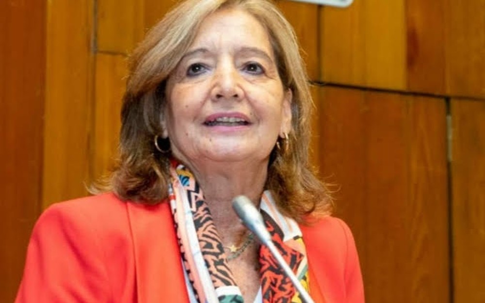 Cristina Rodríguez-Porrero, presidenta de la Comisión "Hacia una sociedad con personas mayores activas y saludables” de la PMP Cristina Rodríguez-Porrero.