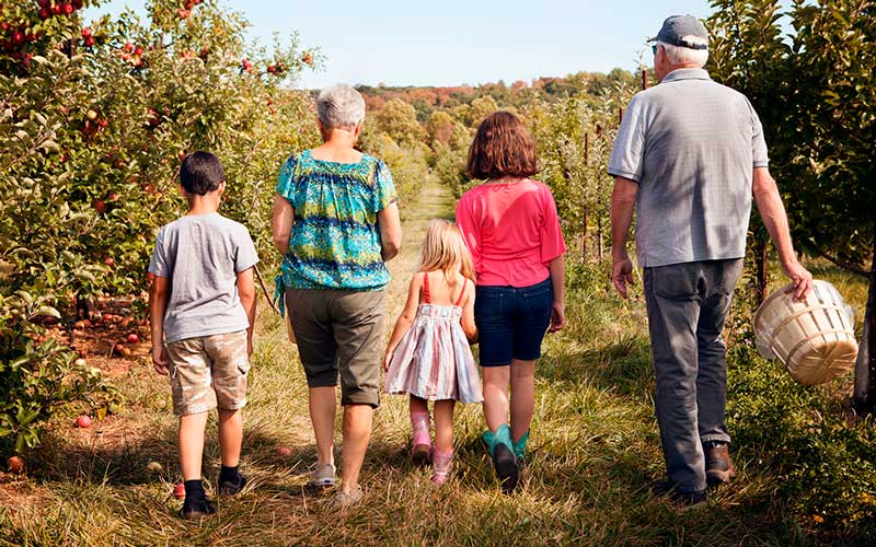 Una abuela y un abuelo caminan por el campo junto a sus tres nietos