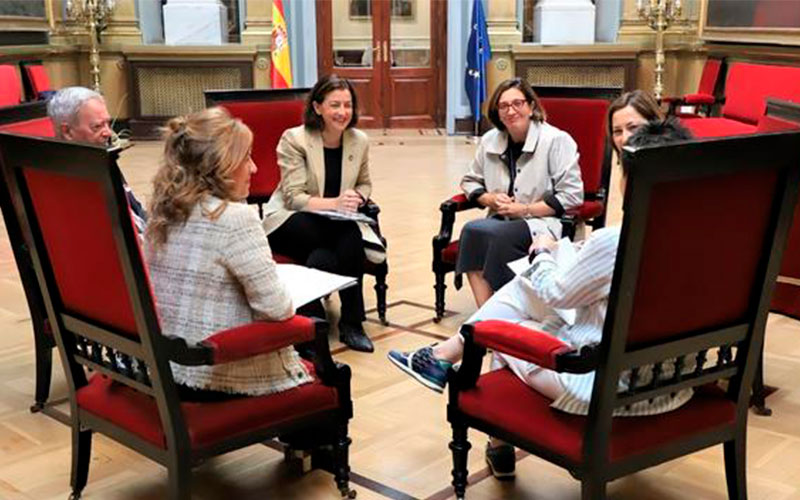 La portavoz socialista en el Senado se reunió con la PMP y la Mesa Estatal por los Derechos de las Personas Mayores Imagen de los participantes en el encuentro en el Senado.