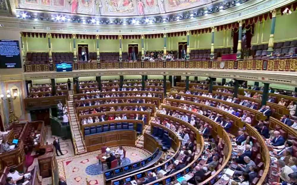 Un instante de la votación en el Congreso de los Diputados
