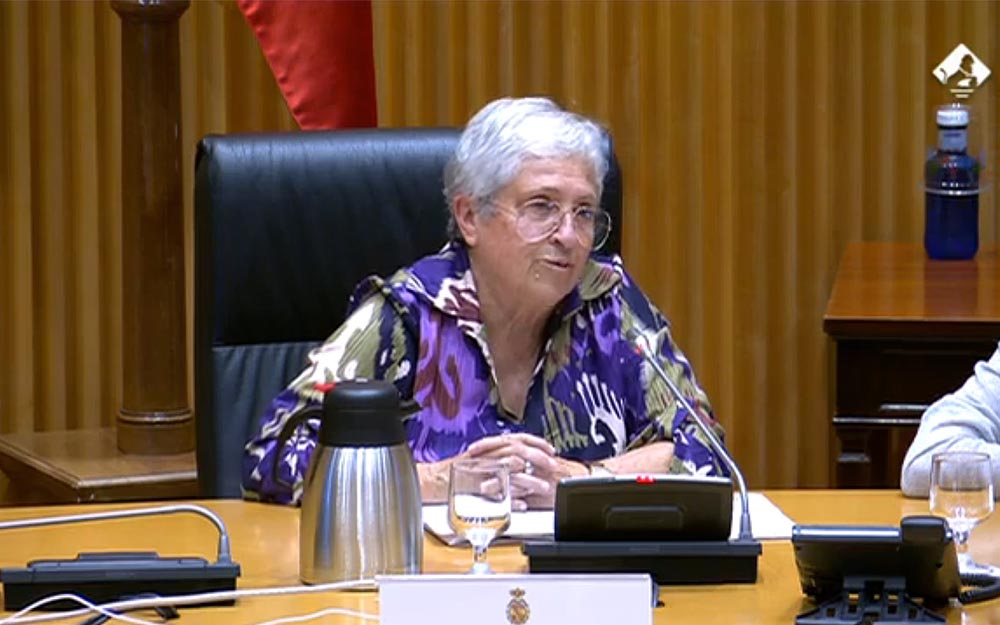 Imagen de Inmaculada Ruiz, vicepresidenta de la PMP, durante el encuentro 'El reto de la longevidad hoy', celebrado en el Congreso de los Diputados.