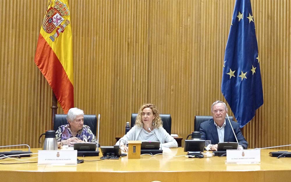 Meritxell Batet, presidenta del Congreso de los Diputados, junto con el presidente de la PMP, Ángel Rodríguez Castedo e Inmaculada Ruiz Martín, presidenta de la UDP.