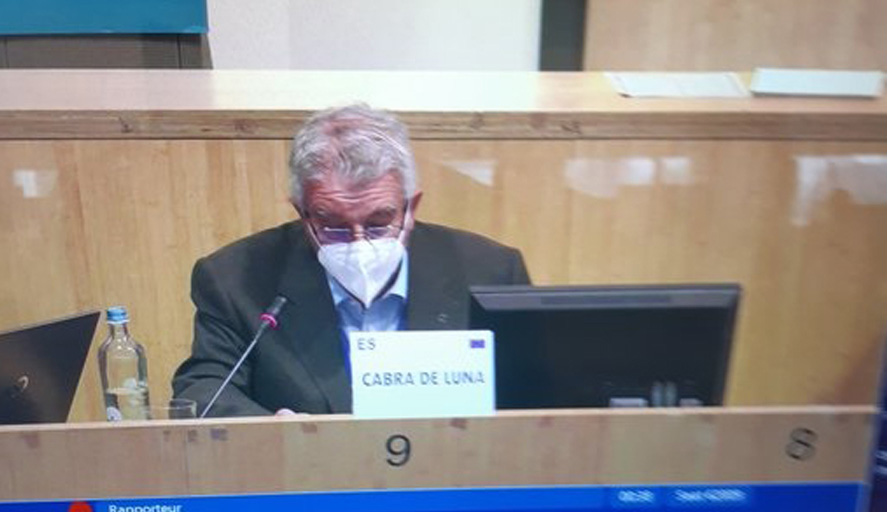 El secretario general de la Plataforma de Mayores y Pensionistas, Miguel Ángel Cabra de Luna, presentando ante el Comité Económico y Social Europeo (CESE) el dictamen ‘Hacia un nuevo modelo asistencial para las personas mayores: aprender de la COVID-19