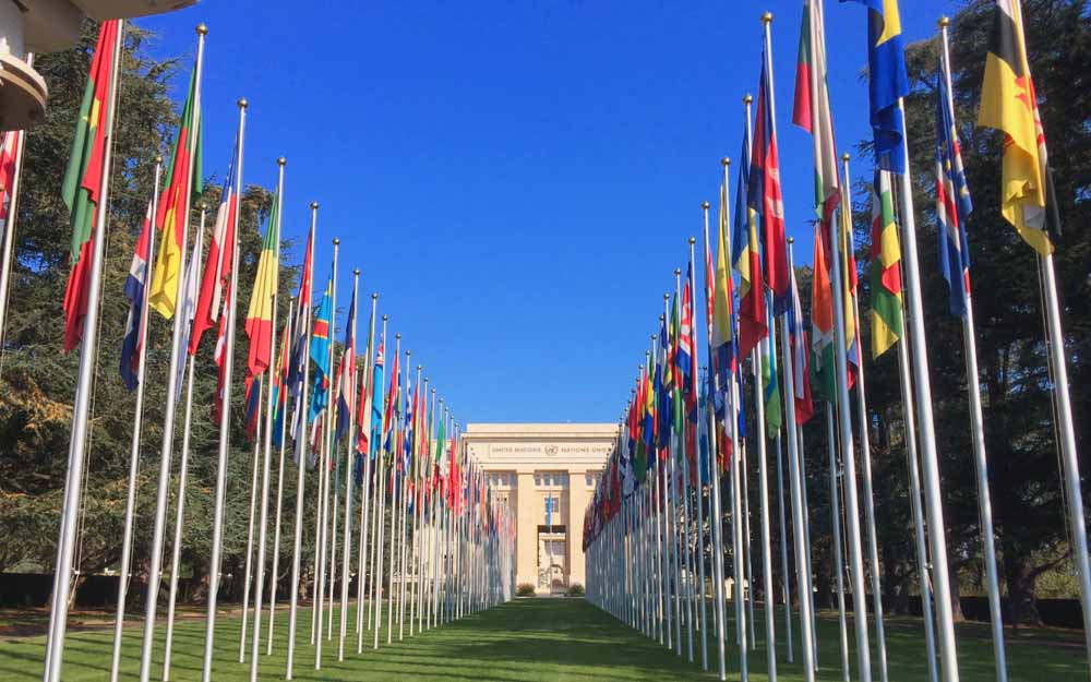 Sede del Consejo de Derechos Humanos de Naciones Unidas. Entrada a la sede del Consejo de Derechos Humanos de Naciones Unidas, en la que aparecen las banderas de los países miembro.