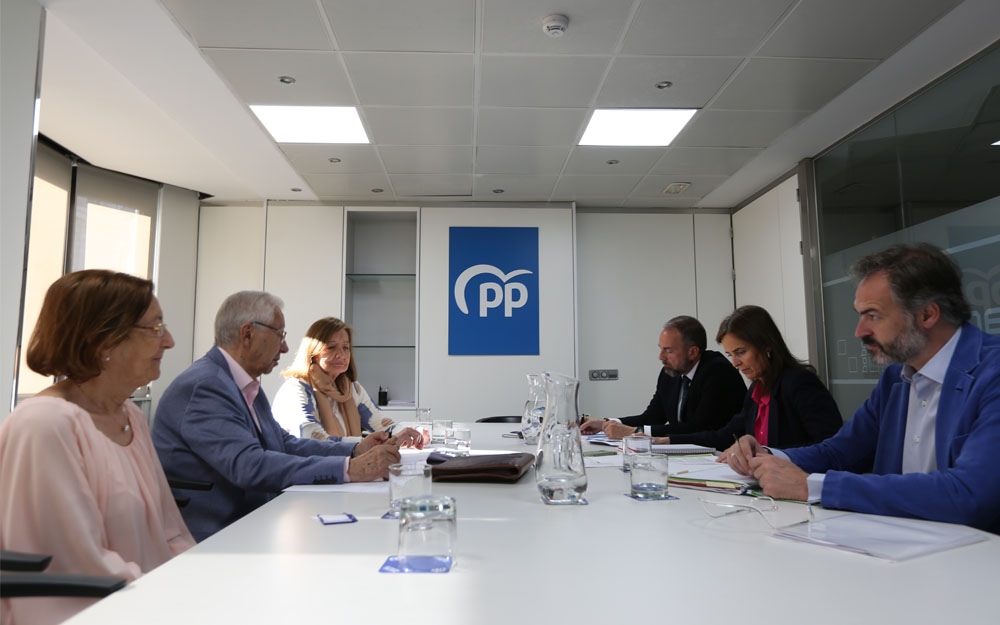 El encuentro giró en torno a temas como las pensiones, la dependencia, los cuidados, la sanidad, el envejecimiento activo y la brecha digital Miembros de la PMP, encabezados por su presidente, Lázaro González, dialogan con representantes del PP.