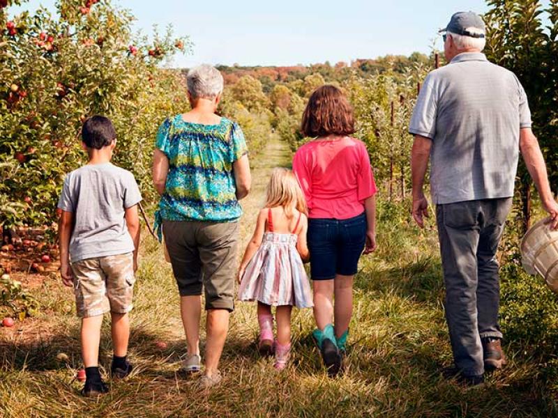 Una abuela y un abuelo caminan por el campo junto a sus tres nietos