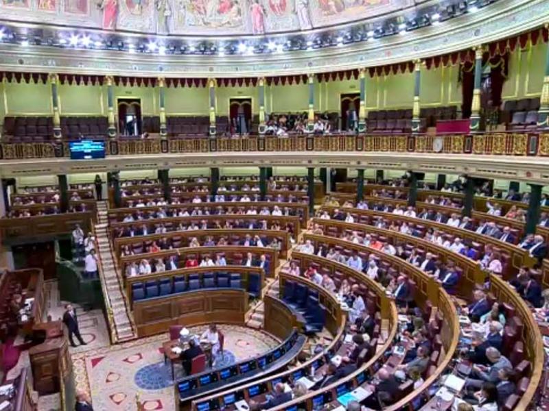 Un instante de la votación en el Congreso de los Diputados
