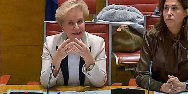Carmen Quintanilla durante su comparecencia en el Senado