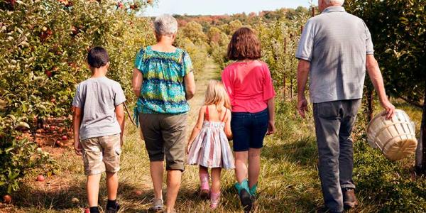 Una abuela y un abuelo caminan por el campo junto a sus tres nietos