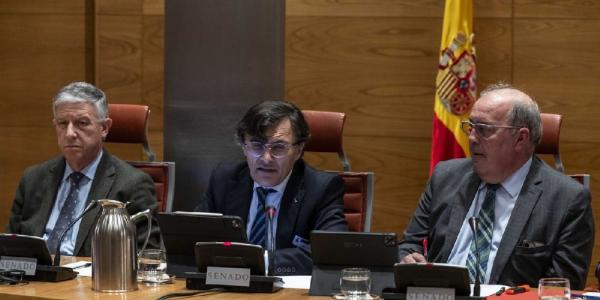 Alberto Durán, vicepresidente de la ONCE